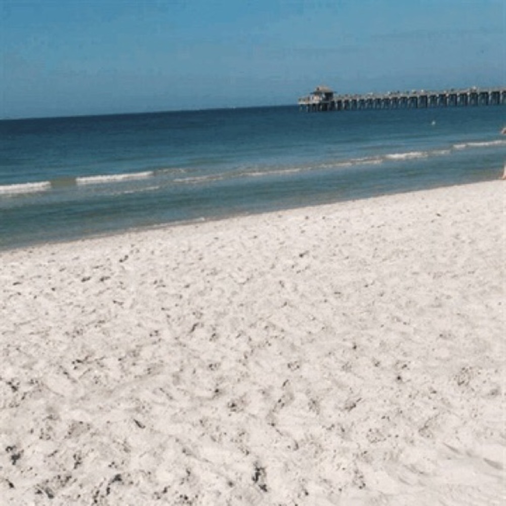 Meet your Posher, Jules